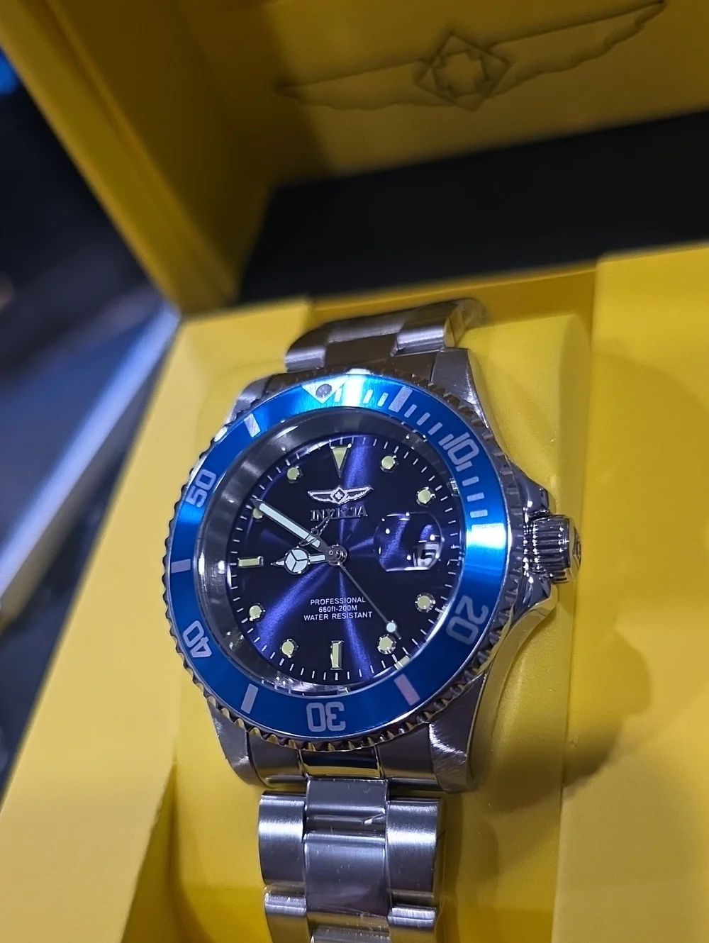 309.  Invicta Pro Diver Coastpath Men's Watch - 40mm. Steel (26971)